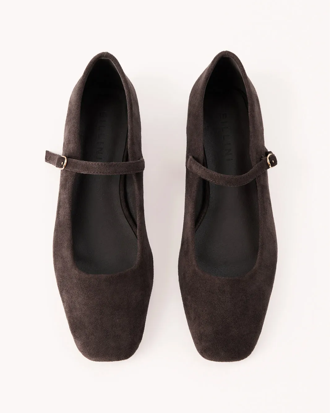 FION - DARK CACAO SUEDE